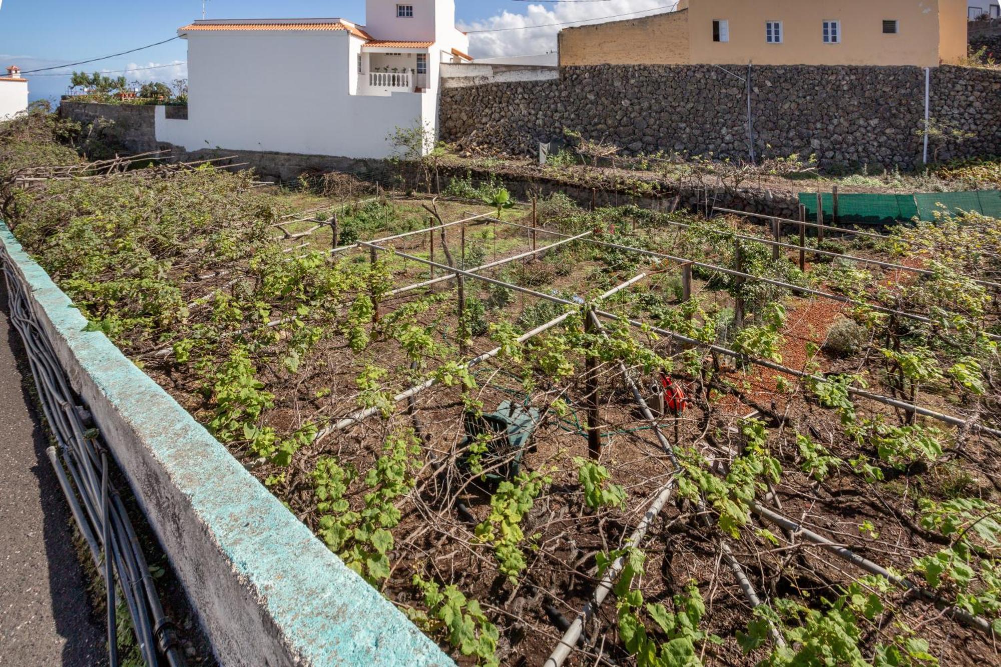 Un Jardin Al Mar Hotell Genovés Exteriör bild